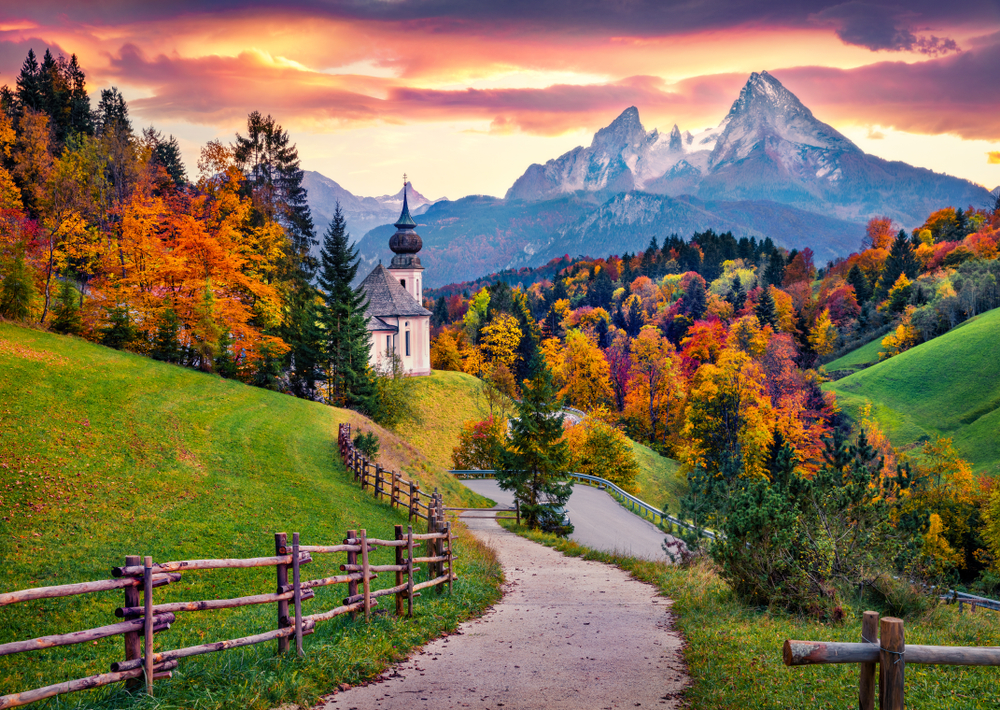 Study in Germany